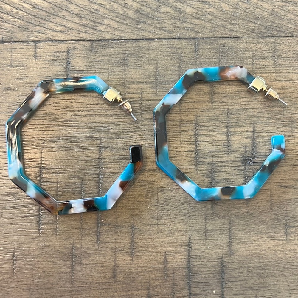Blue Brown Earrings